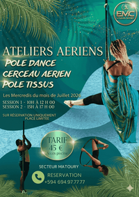ATELIER POLE DANCE CERCEAU AERIEN ET TISSUS